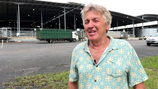 Farmers in northern New South Wales counting the costs following flooding