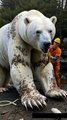 🐻‍❄️🚿 AMAZING Rescue! Team Scrubs Barnacle-Covered Polar Bear Clean! ✨