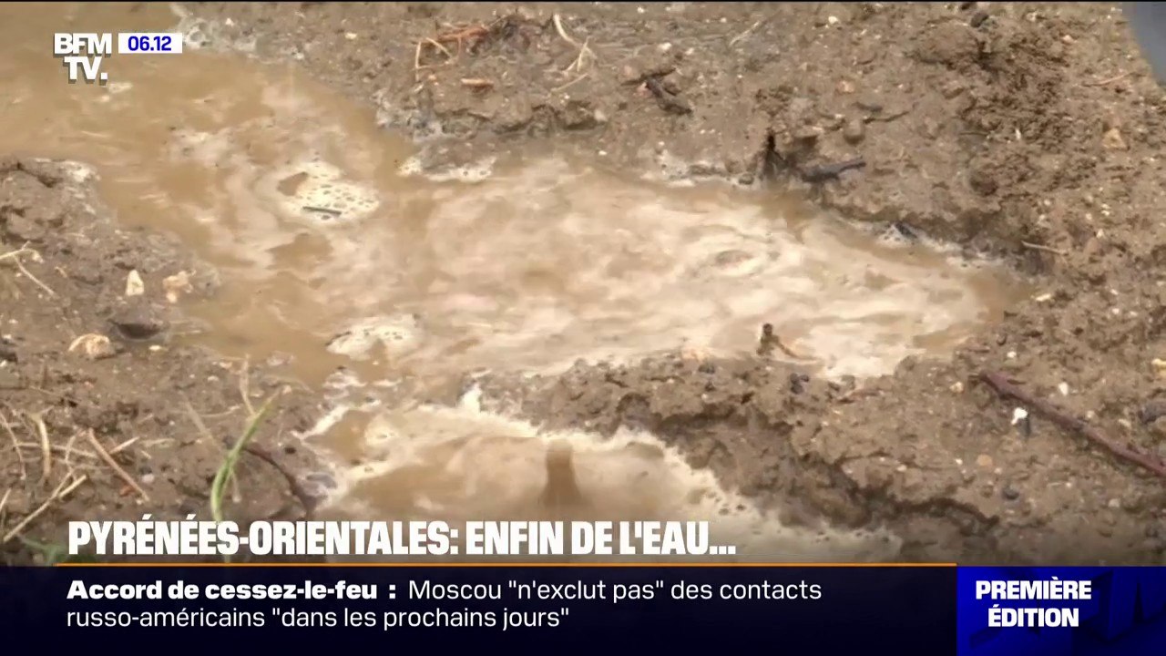 "Un moment crucial": De fortes pluies redonnent le moral aux agriculteurs des Pyrénées-Orientales