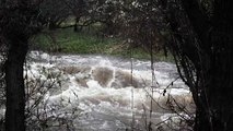 Rivers swell as heavy rain sweeps across Spain