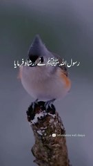 Puri Aqai Wala-hadees-Islamic Content||Naat Sharif