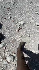 kawah gunung sindoro