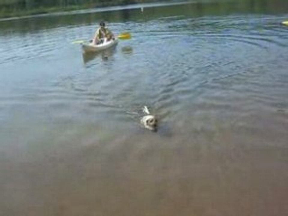 lac des sapins