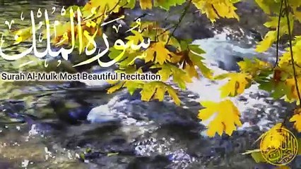 Surah Mulk Recitation in Heart Touching Voice _ Beautiful Tilawat of Surah Al-Mulk _ #allah #quran