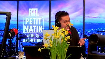 L'ECO & YOU - Année record pour LEGO du 12 mars 2025