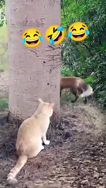 कुत्ते_की_पिटाई 😂🤣😂#animals #monkey #cute #reelitfeelit #reels #ytshorts #realfools #shorts#cat#dog