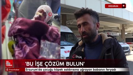 Erzurum'da çocuğu köpek saldırısına uğrayan babanın feryadı: Bu işe çözüm bulun