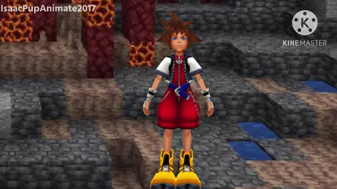 VS Sora