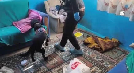 Sinop'ta uyuşturucu baskını! Gözaltına alınan şahıs tutuklandı