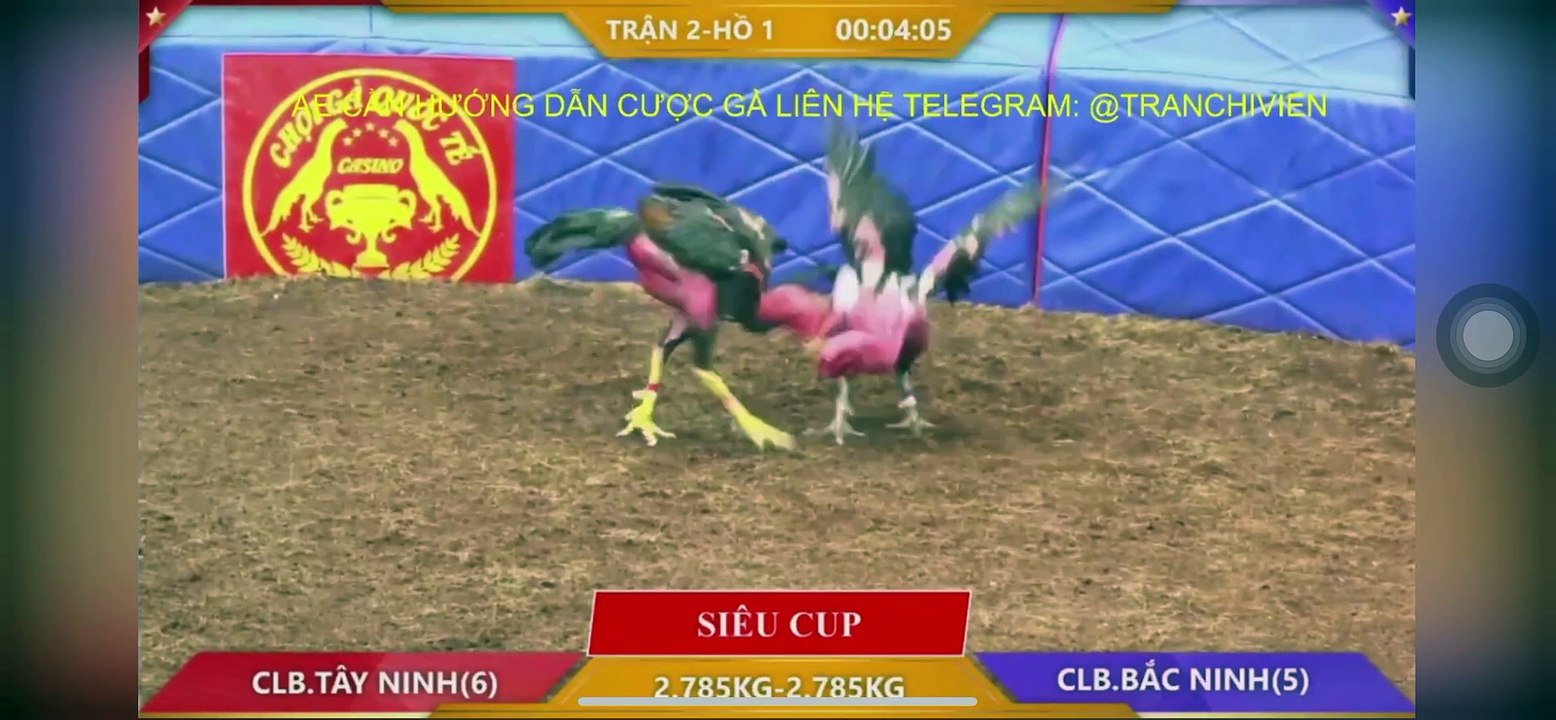 Siêu cúp 2 tỷ Idol Sảnh Tây Ninh - FC Bắc Ninh (Hồ 1)