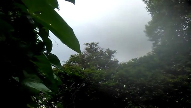 Truenos y Lluvia - Tormenta corta de verano - Tacuarembo (04/03/2025)