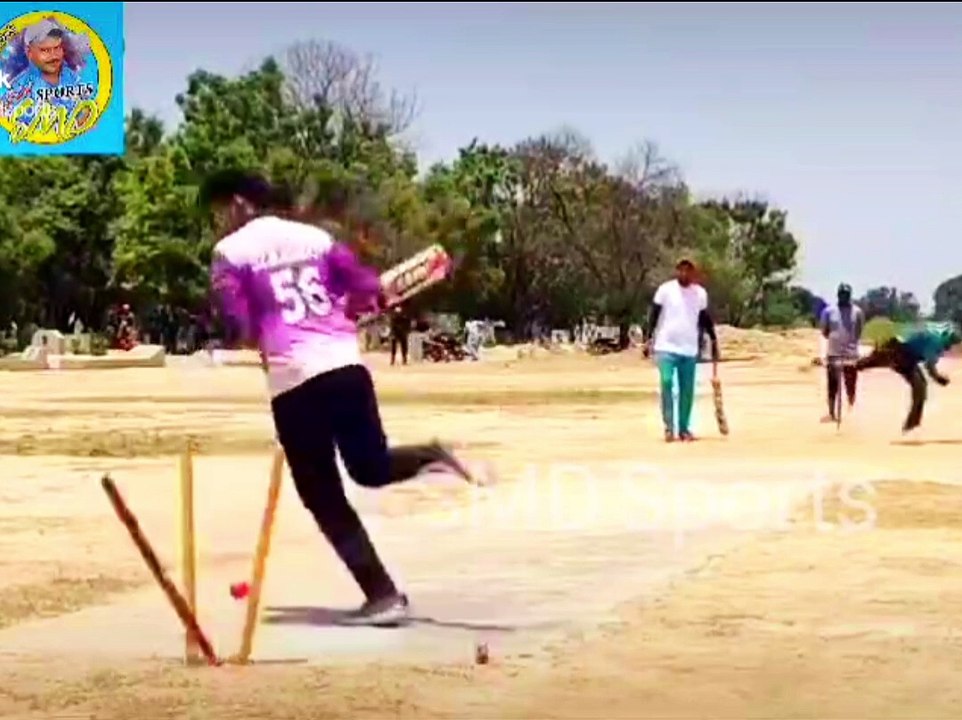 Funny Cricket Video