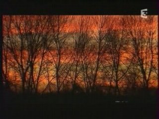 La double mort de Pierre Bérégovoy By 1.5 Jimay