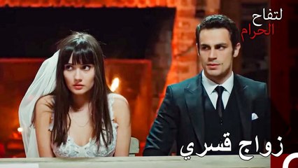 عقد دوندار قرانه قسرا على زينب! - التفاح الحرام الحلقة ال 117