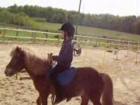 Challenge poney club 1ère manche - 4 mai 2008 026