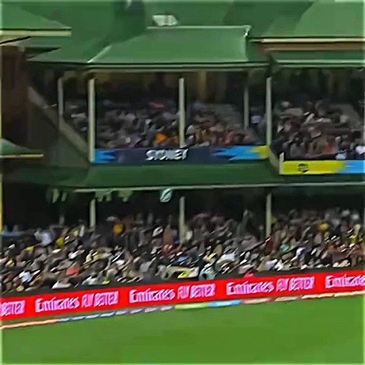 best Cach newzilend Team palyer