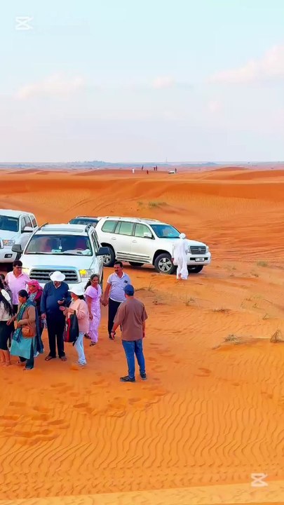 Desert safari tour in Dubai