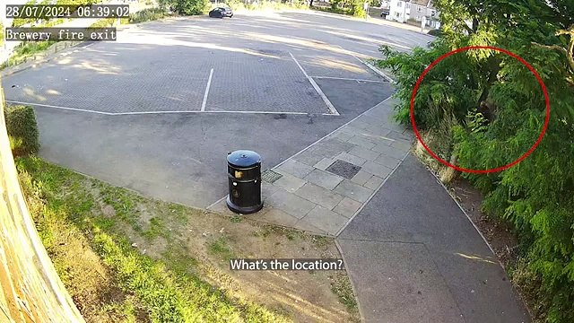 Random knife attack in Peterborough