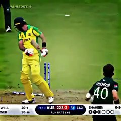 Shaheen Afridi Great Bowling Top10