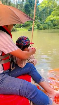 “Sunrise to sunset, creating memories that will last a lifetime. #dadandsonfun #reeloftheday#reelitfeelit#reelsvideo#modelbaby#photography#fish#fishing#funfarm#trendingaudio#trendingreels#reelofinstagram#reelsin