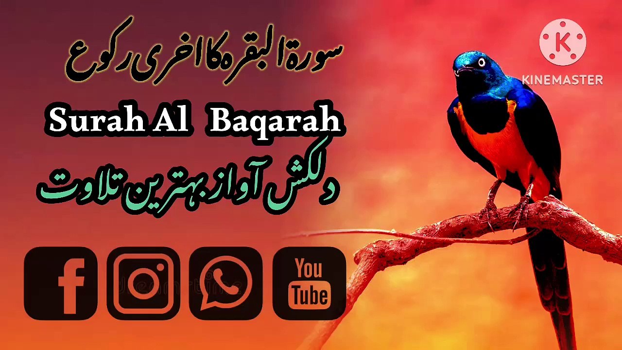 surah Baqarah beautiful recitation surah Baqarah