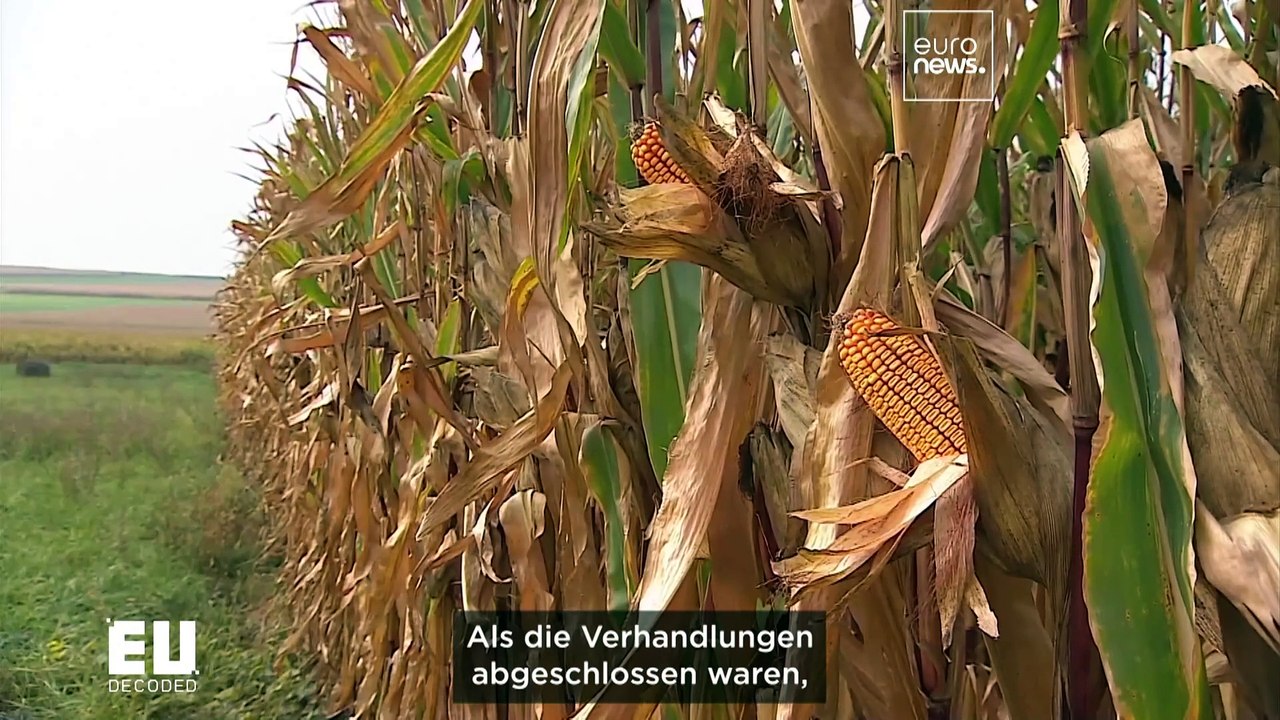 Werden neue rechtsverbindliche Ziele den Kampf gegen die Verschwendung voranbringen?