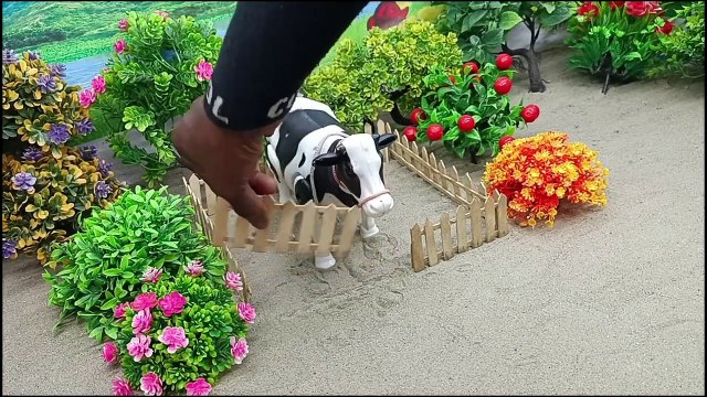 Sapi Cow cutting cartoon | truk oleng | wadidau sapi kurban | proses potong, Cow গরু