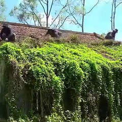 Cleaning Up a 30 Year Abandoned HouseThe Neighbor's Unexpected Words! P2#clean #cleaning #cleaninghouse#cleaningteam #housekeepingteam#deepcleaning #satisfyingcleaning#cleaningasmr #cleanwithme #satisfying#cleaningmotivation #cleaninghacks#cleaningtips