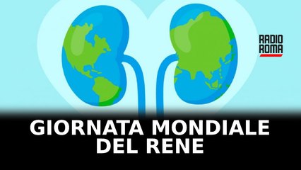 Giornata mondiale del rene 2025, ad Ardea screening gratuiti e corretta informazione
