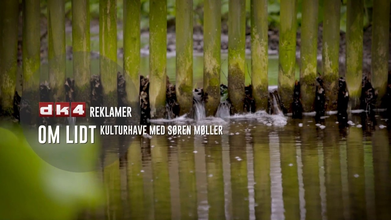 Forårets farver og tv sendt i Marts 2025 på DK4 - video Dailymotion