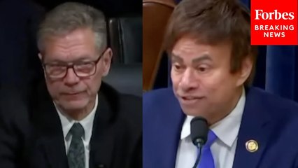 Shri Thanedar Asks Former DHS Inspector General: 'How Does DOGE Differ From Statutory Watchdogs?'