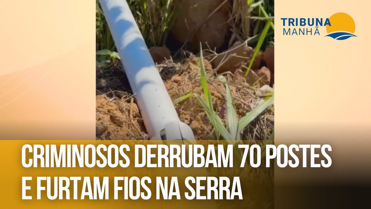 Criminosos derrubam 70 postes e furtam fios na serra