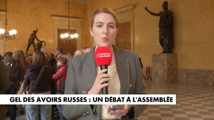 Gel des avoirs russes : un débat à l'Assemblée