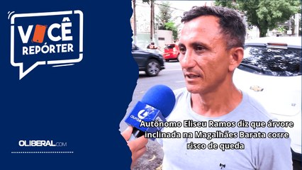 Autônomo Eliseu Ramos diz que árvore inclinada na Magalhães Barata corre risco de queda