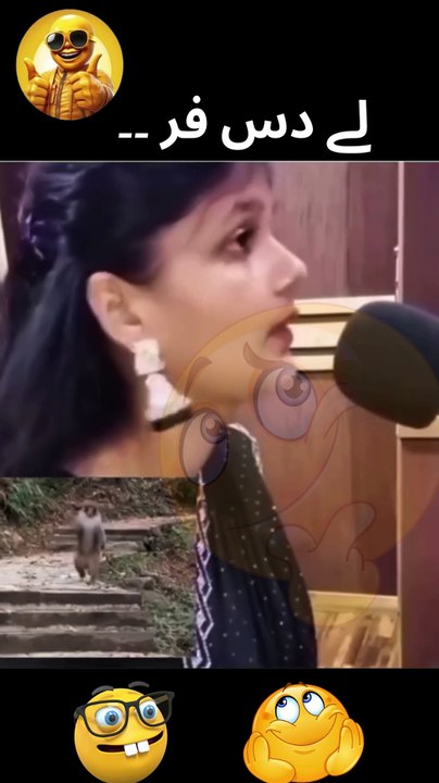 لے دس فر ۔۔