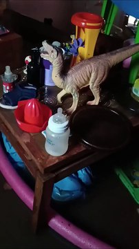 El ex Mambrú Milton Amadeo mostró cómo quedó su casa tras la inundación de Bahía Blanca