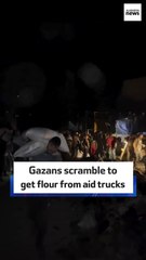 Gazans scramble to get flour from aid trucks