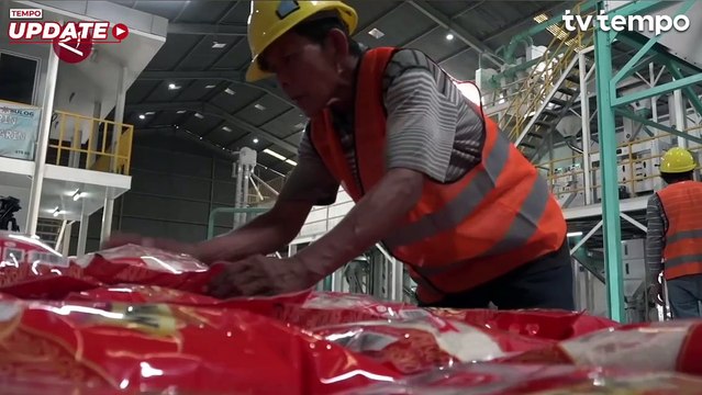 Wamentan Pastikan Beras Bulog Berkutu Tak Disalurkan ke Masyarakat