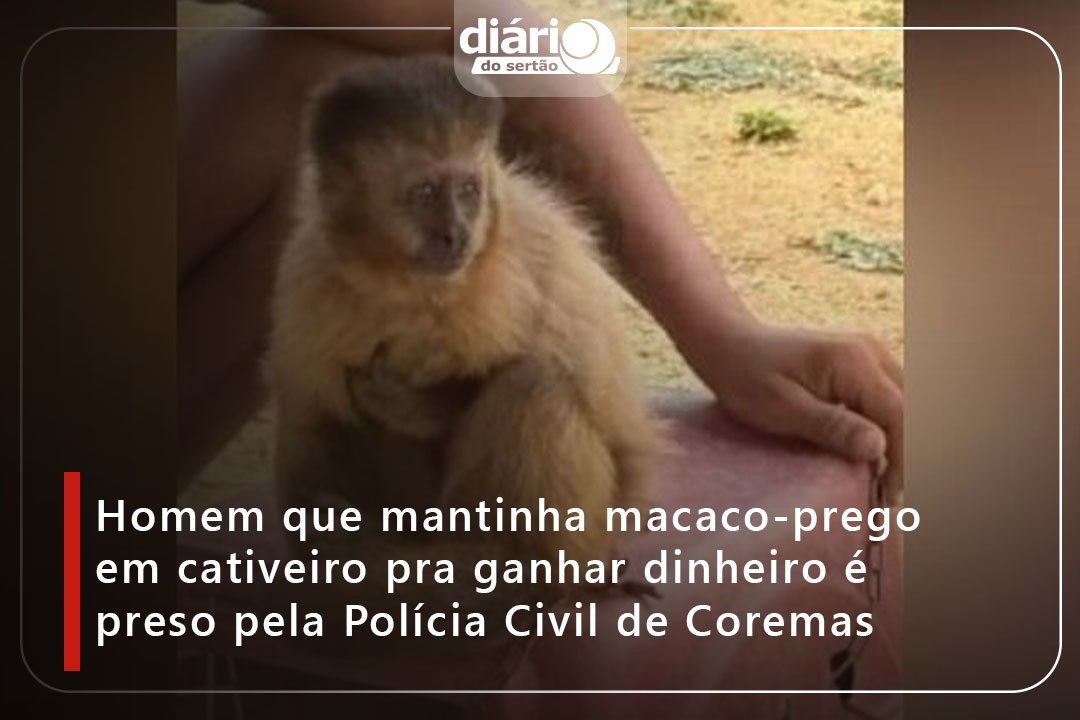 NO VALE DO PIANCÓ, POLÍCIA PRENDE SUSPEITO DE MAUS-TRATOS A ANIMAIS E APREENDE MACACO-PREGO
