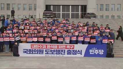 민주당, 국회∼광화문 도보행진으로 '거리 투쟁' 돌입 / YTN