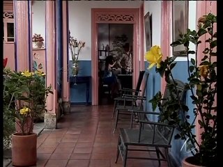 La Dama de Troya Capítulo 78: La Venganza de una Mujer Oculta 🔥