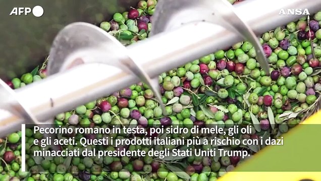 Olio, vino e formaggi, trema il cibo made in Italy