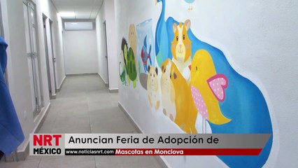 Anuncian Feria de Adopción de Mascotas en Monclova