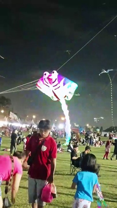 Special Edition: The 27th World Kite Festival 2025 in Pasir Gudang