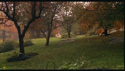 🎭 Otra Mujer (Another Woman) (1988) – PELÍCULA COMPLETA en ESPAÑOL LATINO / CASTELLANO HD 🖤🎬