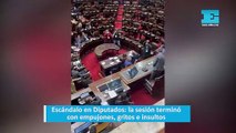 Escándalo en Diputados la sesión terminó con empujones, gritos e insultos