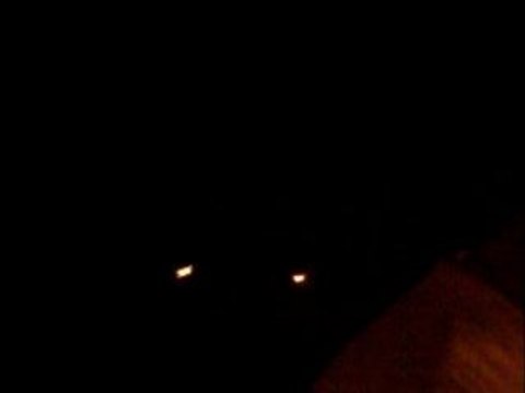 fifi et nono aux massues enflamées