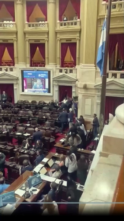 Un diputado de LLA y un aliado se agarraron a trompadas al cierre de la sesión de Diputados