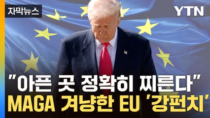 [자막뉴스] 트럼프 1기때보다 4배 폭격 ...EU, 미국 상징에 크게 '한 방' / YTN