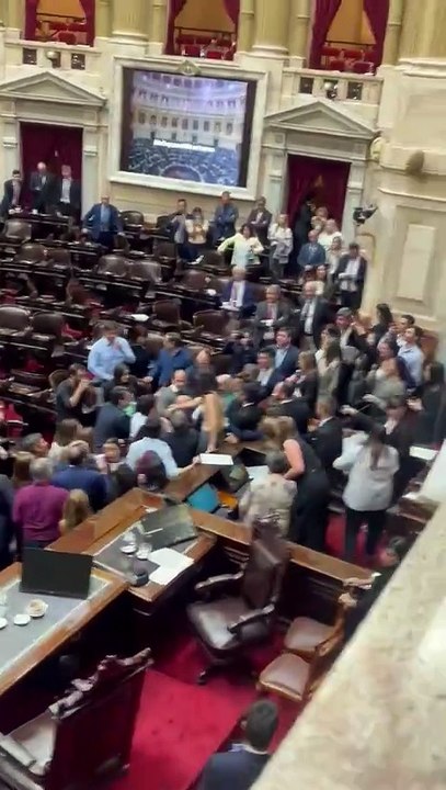 Gritos y reproches en Diputados (2)